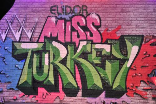 Elidor Miss Turkey - Grafiti Duvar Süslemesi - Grafiti Karakteri - Graffiti Dekorasyon