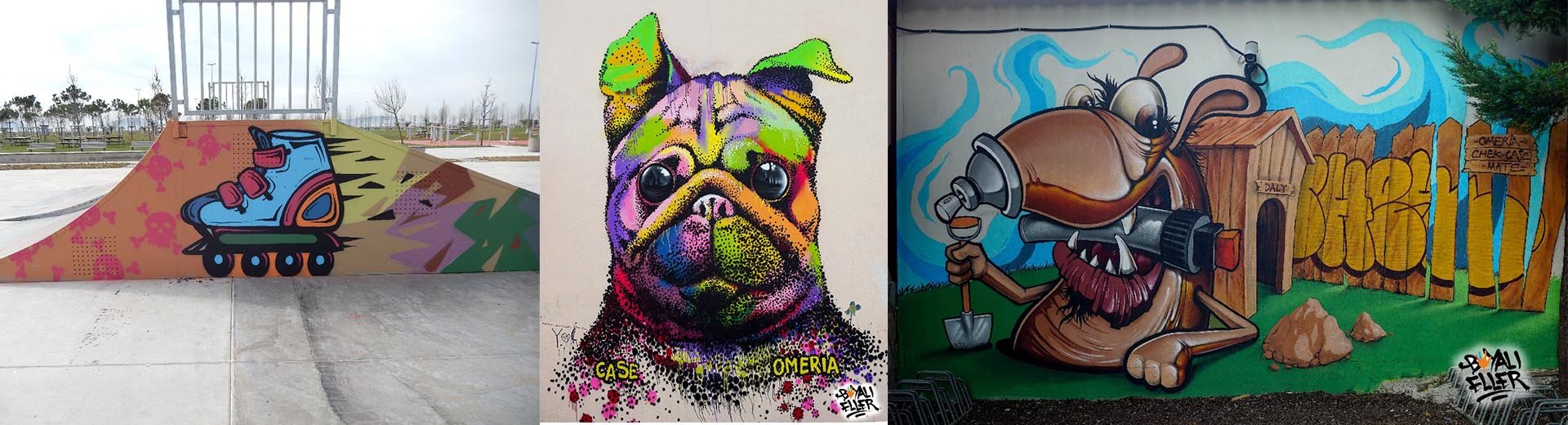 T&uuml;rk Grafiti Sanat&ccedil;ısı, T&uuml;rkiye Grafiti